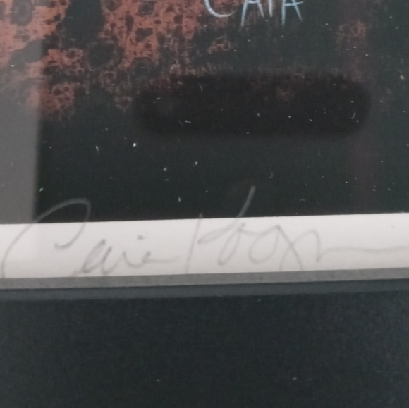 Rare Limited Edition Caia Koopman Signed And Numbered Art Framed Print. - Picture 5 of 11